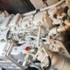 Sunseeker Predator 52 - immagine 7