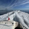Sunseeker Predator 63 - immagine 5
