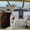 Cayman 40 Wa (Venduto) - immagine 8