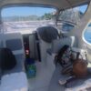 Saver 690 Cabin (Venduta) - immagine 11
