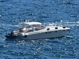 Baia 43 Bimini
